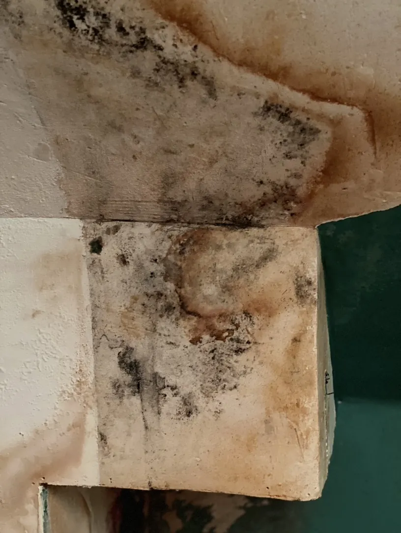 Humidité et moisissures sur l'appui de la jambe de force