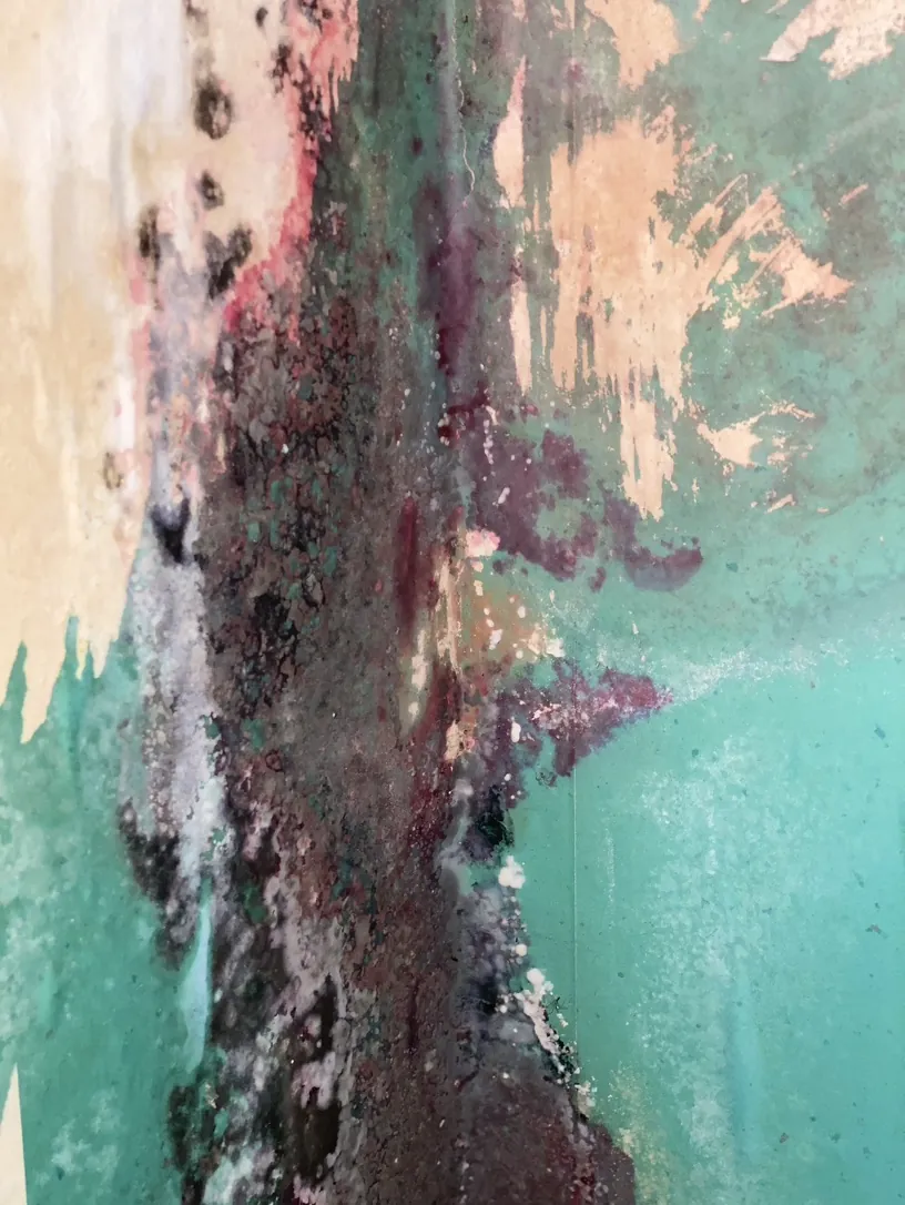 Salpêtre et moisissures sur un mur de chambre, désordre d'humidité ancien